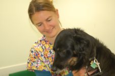 The Royal (Dick) School of Veterinary Studies - Outstanding Clinician Award  – Dr Spela Bavcar (Hospital for Small Animals)